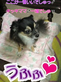 どかないですf^_^; 2010/09/15 16:39:26