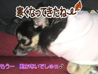 寒いぞぉ〜(￣∀￣) 2011/01/12 23:50:03