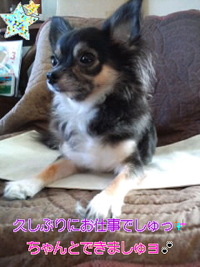久しぶりにお仕事でしゅo(^-^)o 2010/09/04 20:37:53