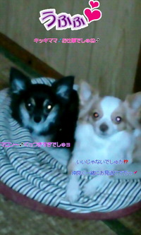 ジィ〜(￣・・￣) 2010/09/09 13:20:34