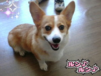 つむぎちゃ〜ん(≧∇≦)