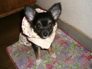 (；ー_ー)ノ まあ、落ち着け