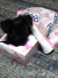 何処行ったぁΣ(￣□￣; 2010/09/18 23:29:00