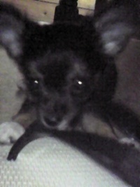 元気になったo(≧∀≦)o 2010/09/18 22:00:00