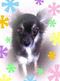 プチ家出ピース！居た〜〜〜！ 2011/01/29 19:00:00