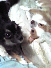 こ〜んにゃろ〜〜(｀□´)┘ 2011/01/28 19:00:00