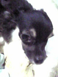 アギャ〜………(｀□´)┘ 2011/01/28 17:14:09