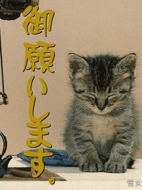 普天間中３３期生のかたへ！口座開設のお知らせで～す♪ 2008/10/09 17:17:17