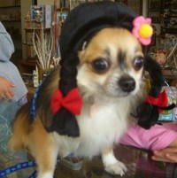 やっちゃいました＾＾；