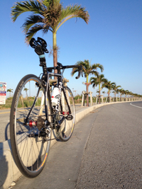 サイクリング日和