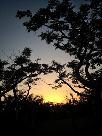 糸満の夕焼け 2013/02/16 18:40:16