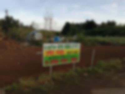池間島の売り地