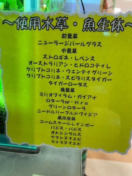 香川県のアミーゴ丸亀さんのデルフィス商品ラインナップ♬