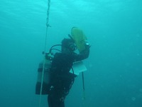 IDC　水域 2013/12/14 22:29:35