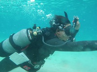 沖縄でＩＤＣ 2014/12/11 21:06:15