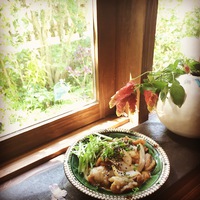 島豆腐と豚の生姜焼き 2017/04/26 10:09:50