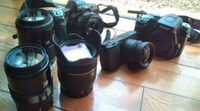 写真日和 2012/02/05 10:45:54