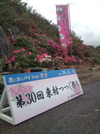 つつじ祭り