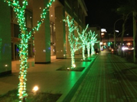 クリスマスですね。 2012/12/24 23:45:48