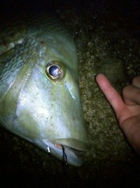 気合い 2011/05/09 04:08:42