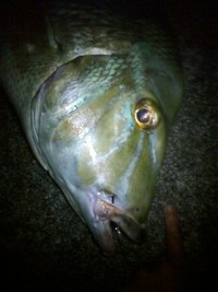 おはよーっ！ 2011/05/30 04:41:12