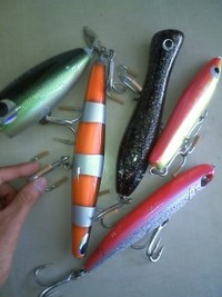 時期、来たる！ 2011/06/12 07:23:10