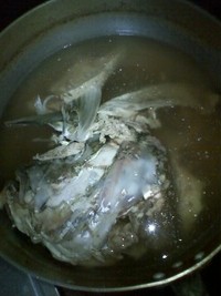 げっ！ 2011/08/05 20:08:14