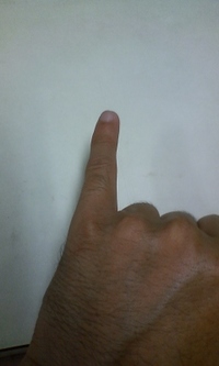 正解は！ 2011/10/22 23:38:34