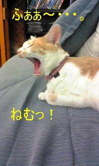 チン！ 2010/11/01 08:14:30