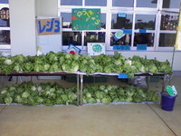 生産物即売会