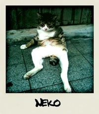 （笑） 2010/05/12 01:28:31