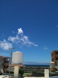夏だね 2010/06/19 13:05:33