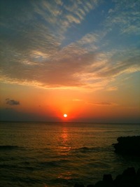 朝からずっと。。。 2010/04/25 19:55:26