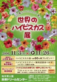 世界のハイビスカス展