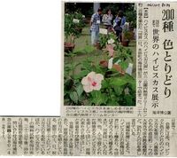 世界のハイビスカス展