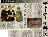 「チャーグー」生産拡大