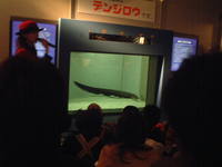 かごしま水族館