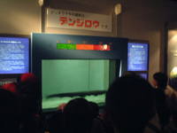 かごしま水族館