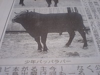 少年パッパラパー 2006/12/20 11:01:00
