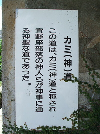 宜野座高校横で 2007/09/02 13:10:43