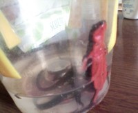そろそろ 2010/02/17 14:39:34