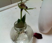 プレゼント 2010/03/02 11:34:15
