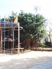 小学校視察と制服購入 2010/02/22 13:45:58