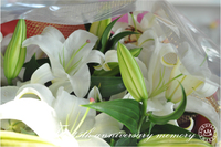 April 19.2014  　  The 15th anniversary memory