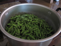 枝豆収穫＆保存