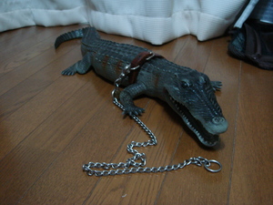 さてこれは何でしょう？