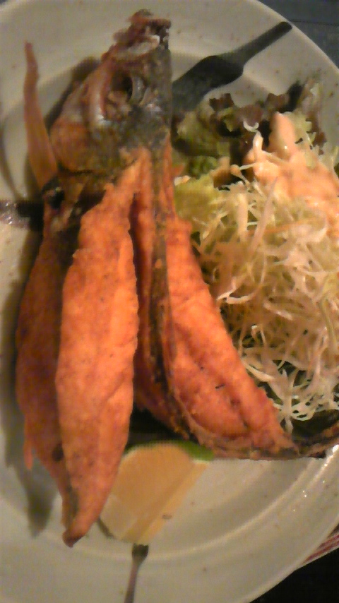 お魚紹介！