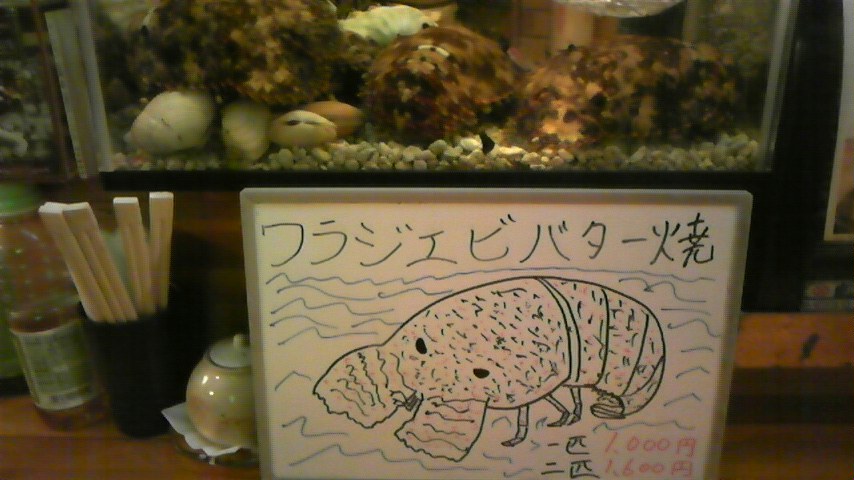 ワラジエビ〜☆