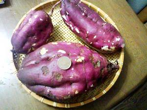 れんこんとほたてのお好み焼きと大学いも
