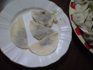 手作り餃子とＨくん
